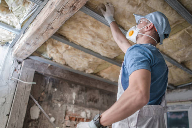 Best DIY Insulation Kits and Guidance in Biglerville, PA